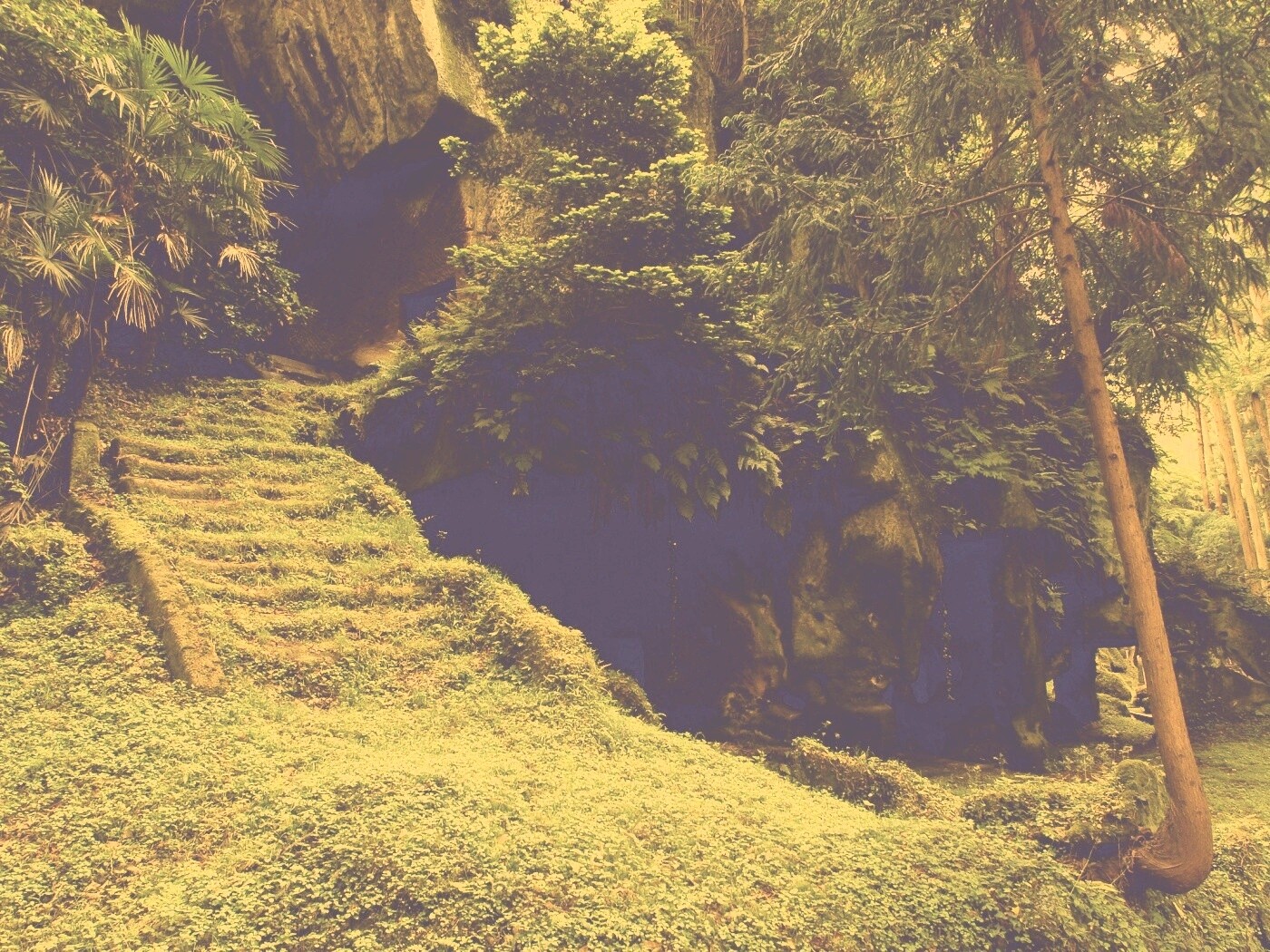 Старинный лесной храм обои