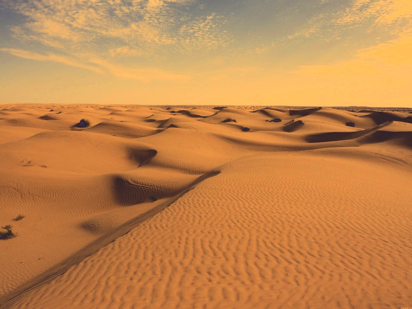 Пустыня до самого горизонта обои