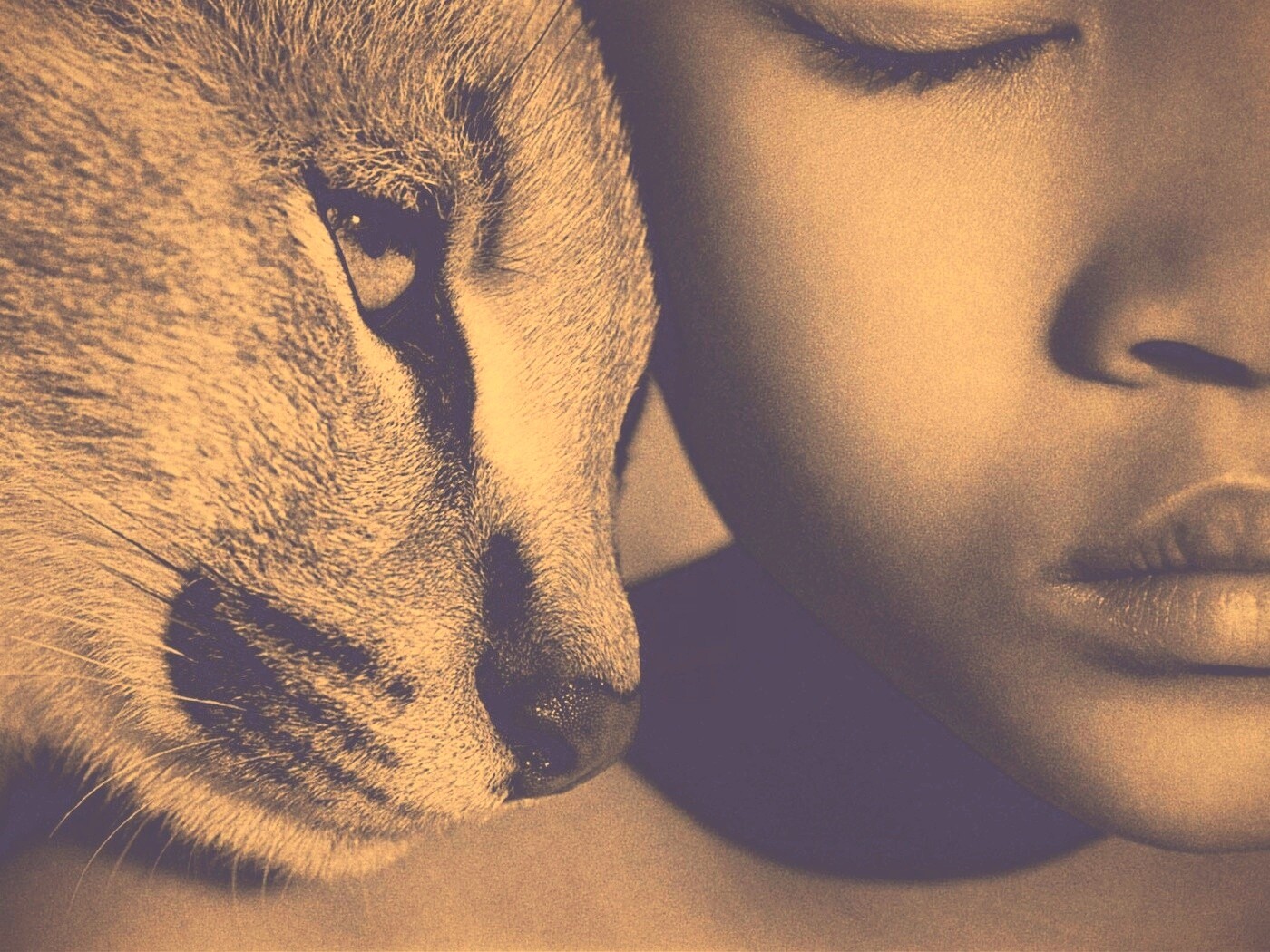 Человек и природа обои