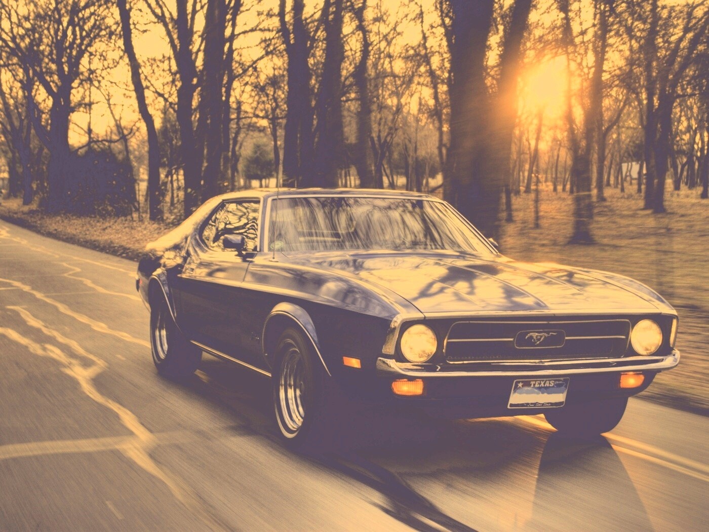 Мустанг обои