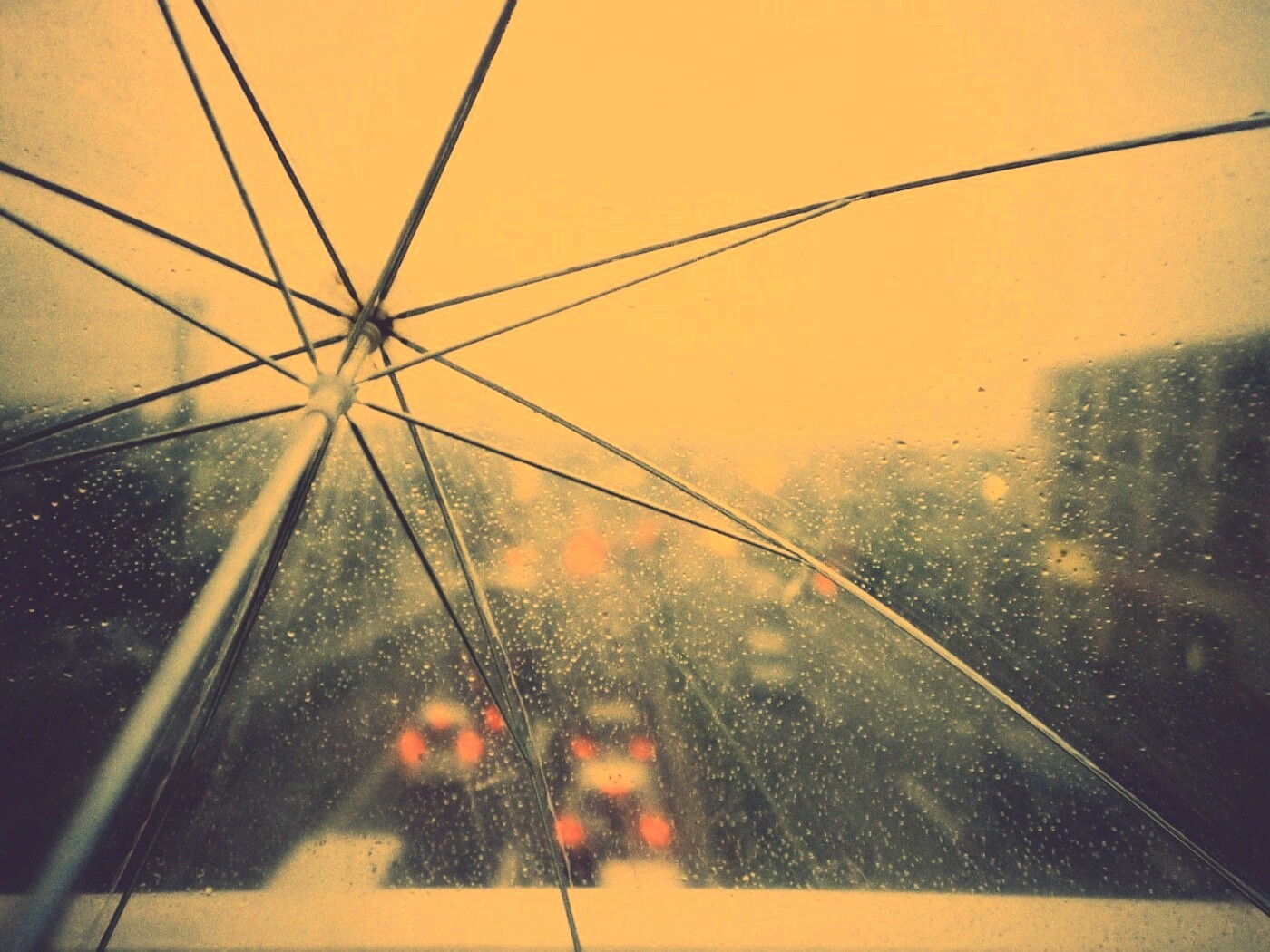 Вид сквозь прозрачный зонтик обои
