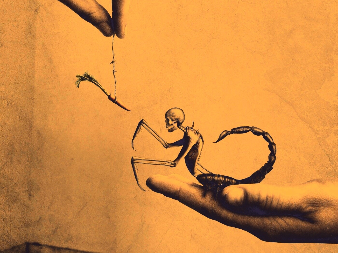 Кормёжка смерти обои