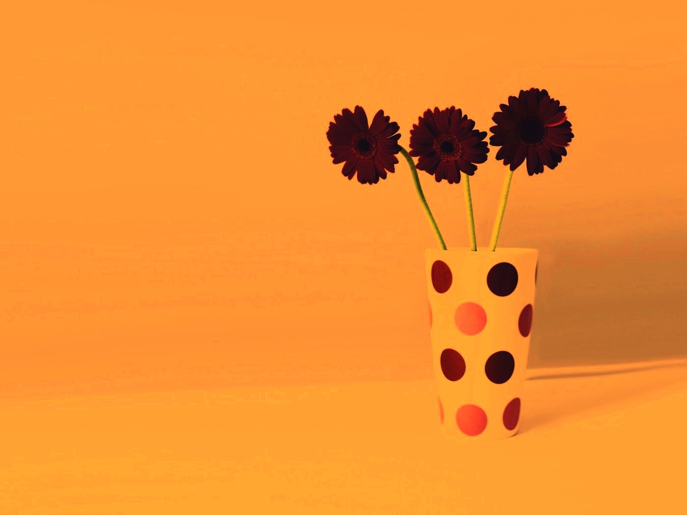 Вазочка с тремя красными герберами обои