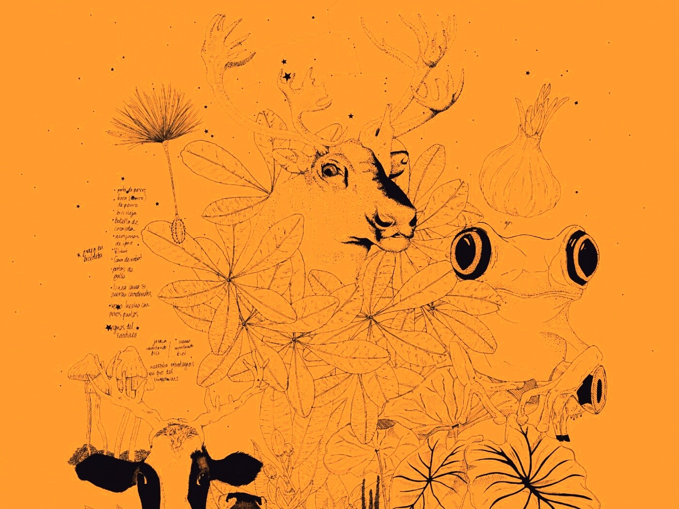 Животные на рабочий стол Apple обои