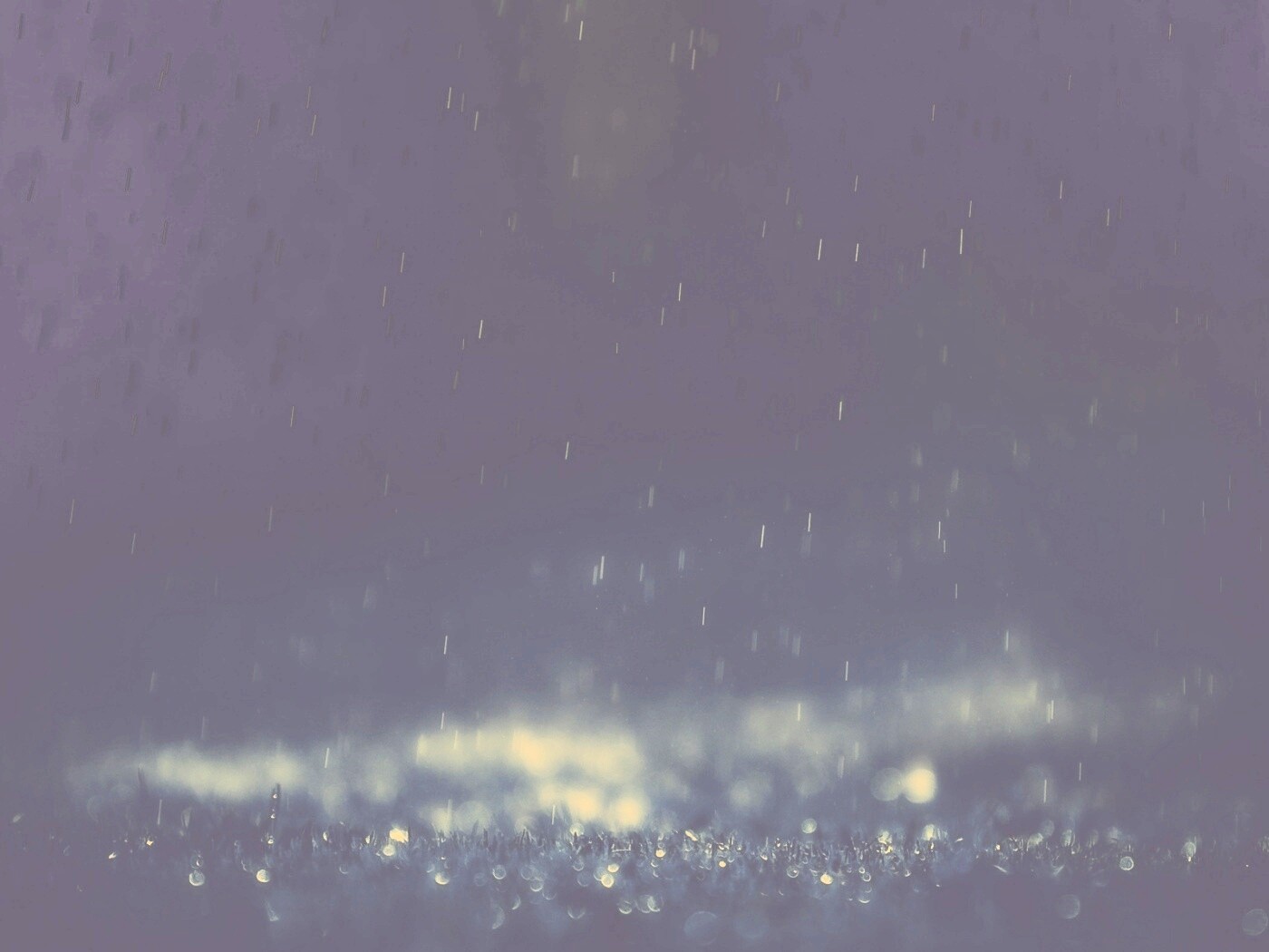 Макро фото дождя обои