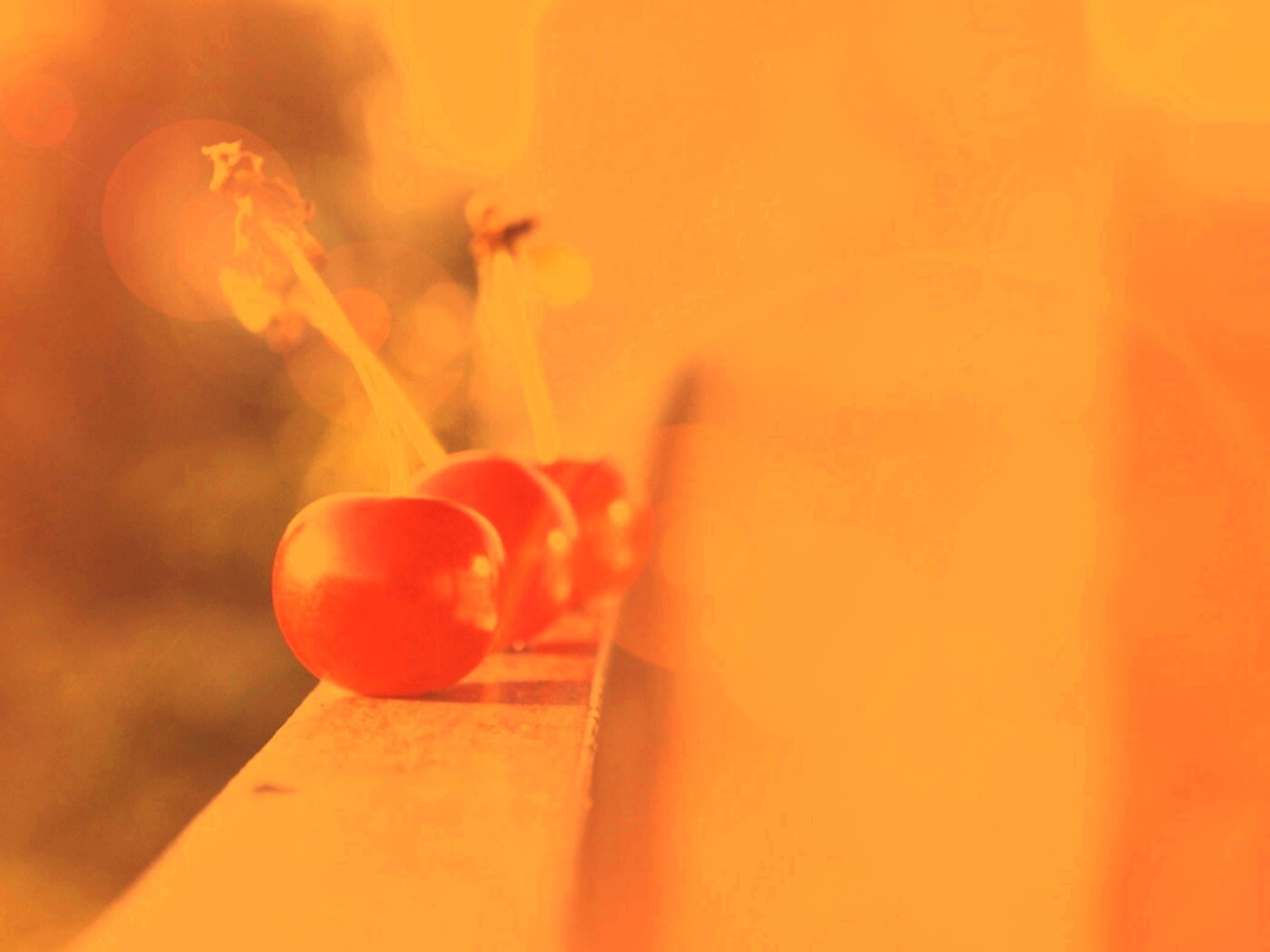 Вишенки на перилах обои