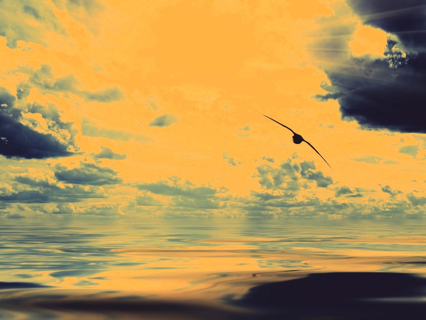 Лети как птица над волнами обои