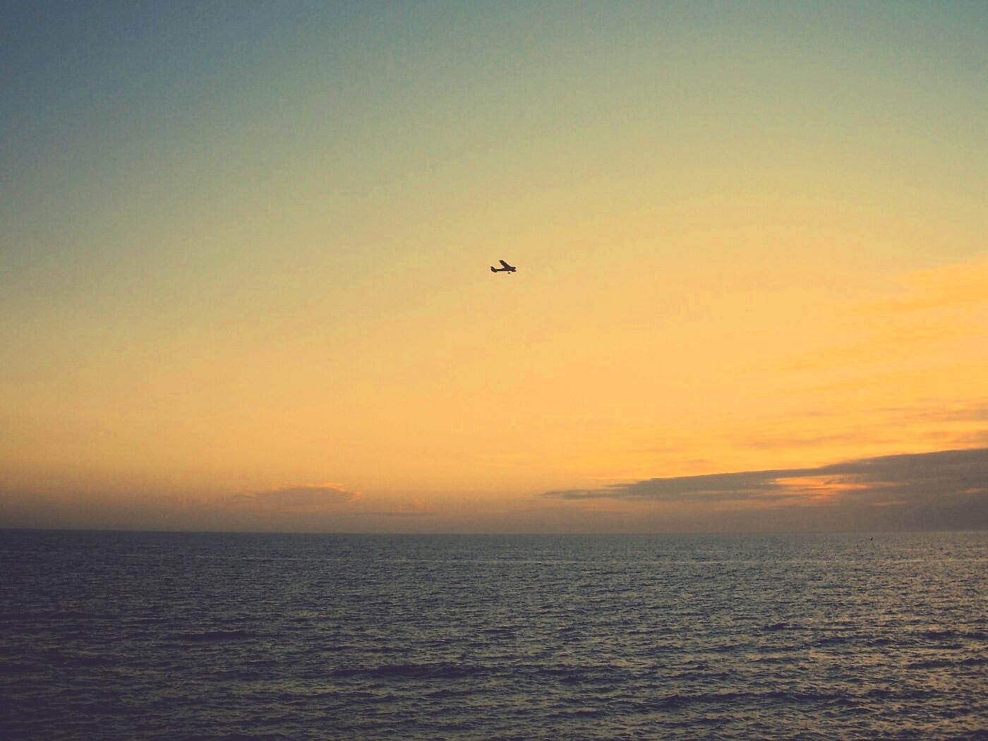 Паращий над морем обои