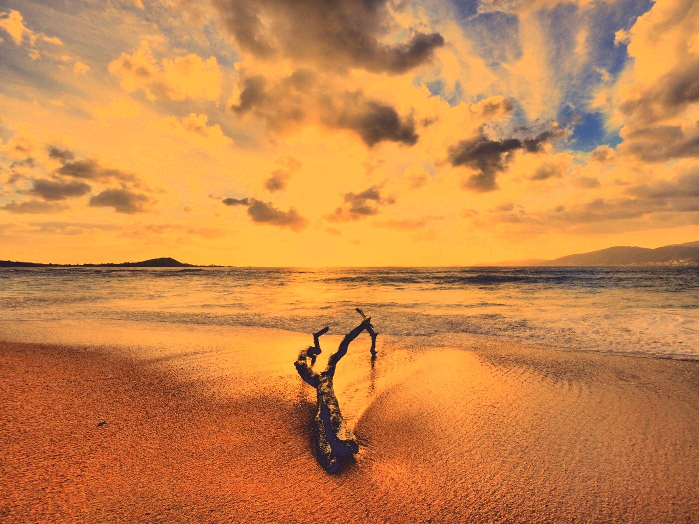 Коряга на пляже обои