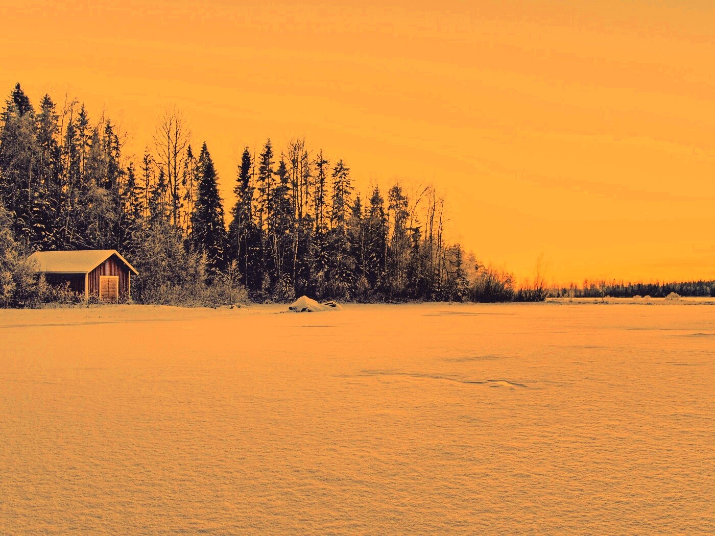 Зимний закат обои