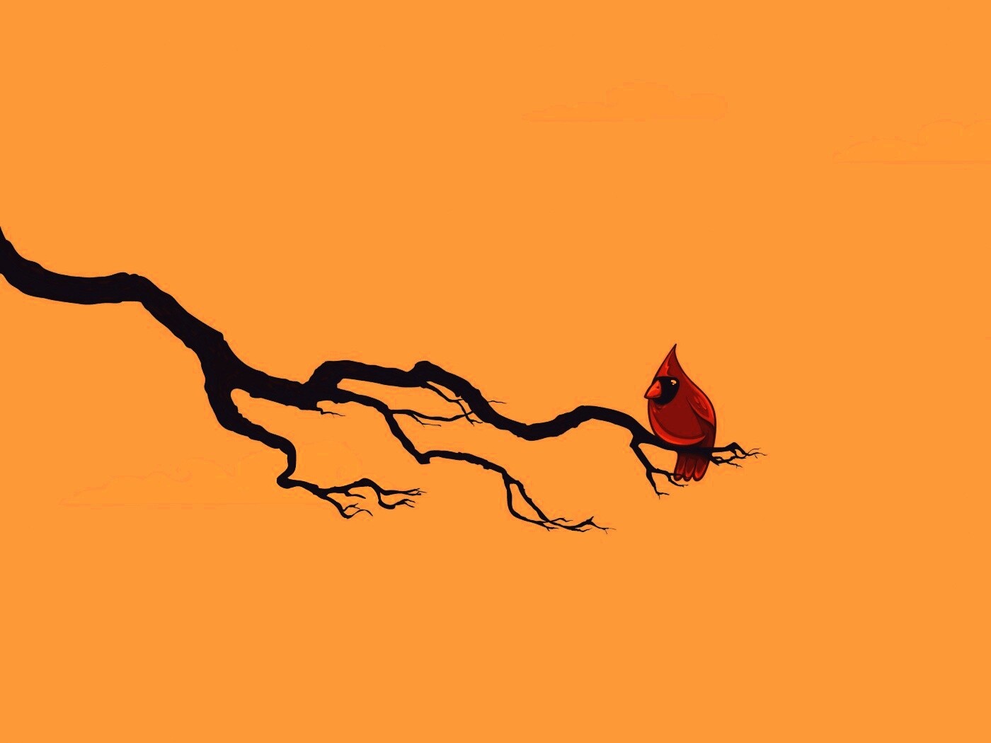 Красная птица на ветке обои