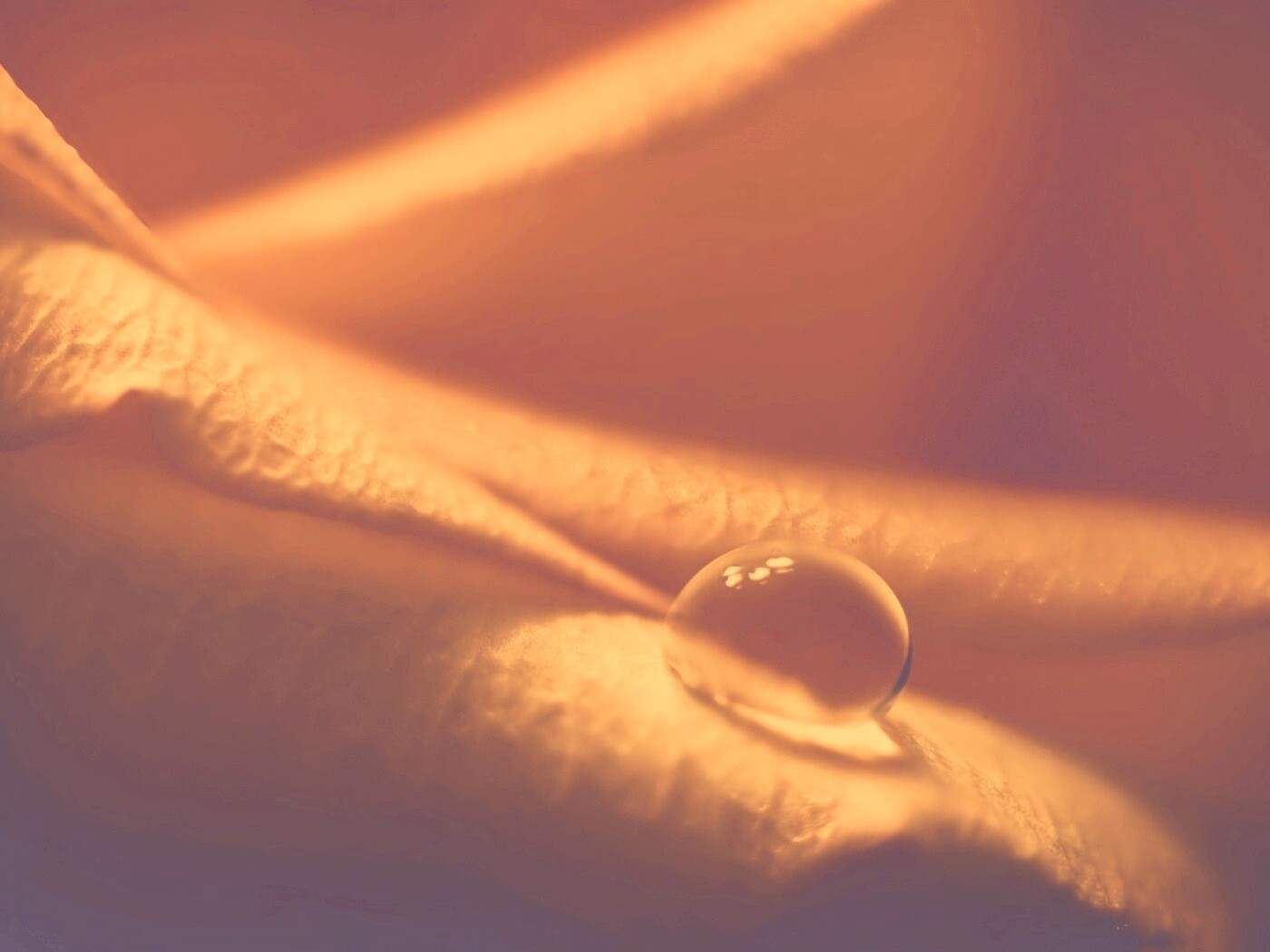 Капелька обои