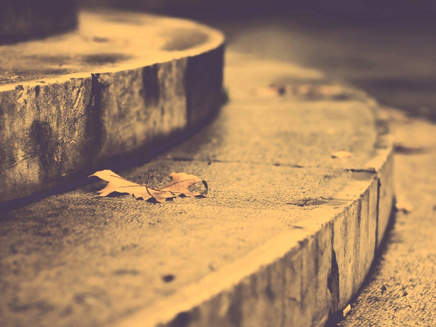 Лист на ступеньках обои