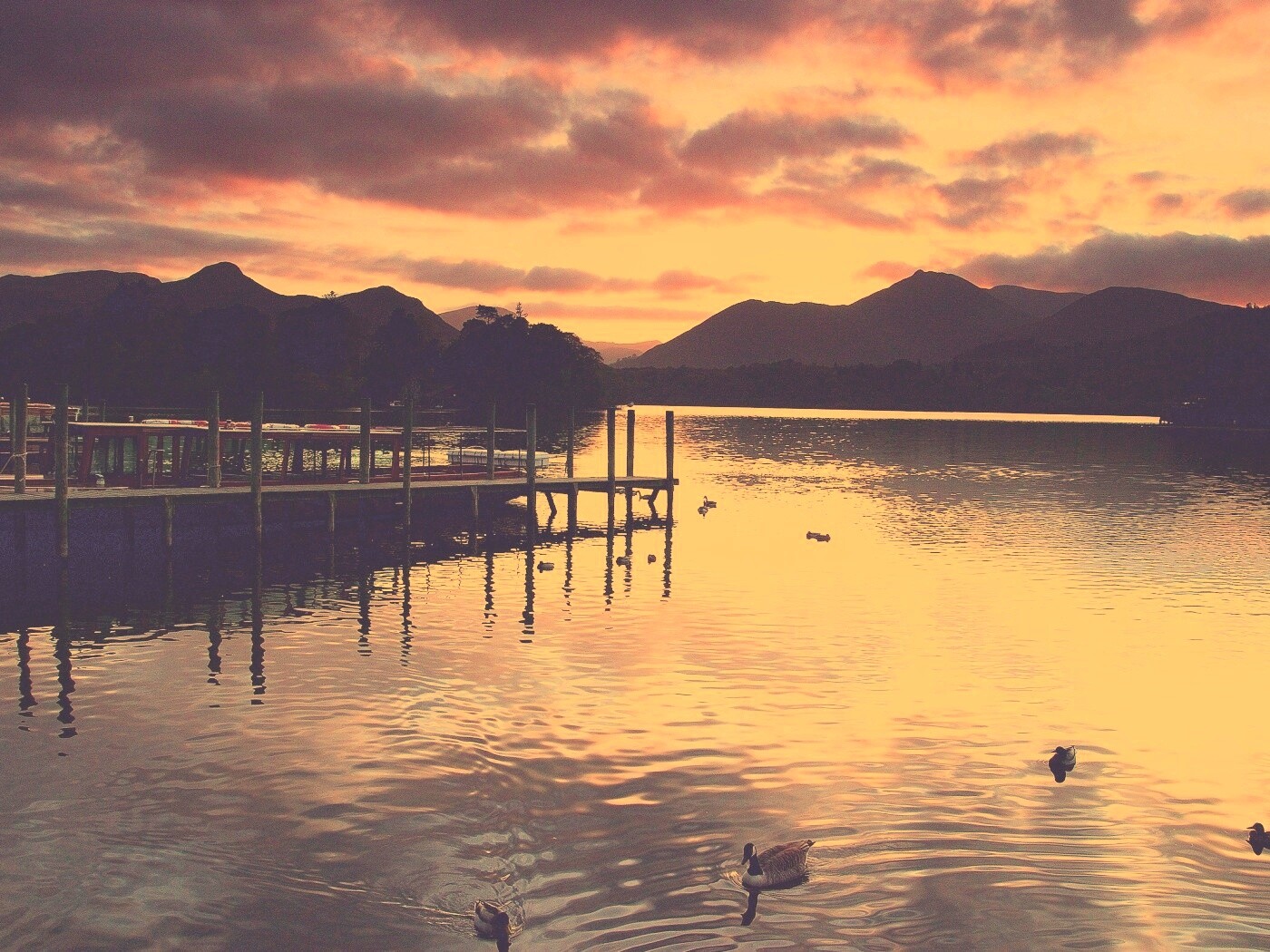 Причал на озере и утки обои