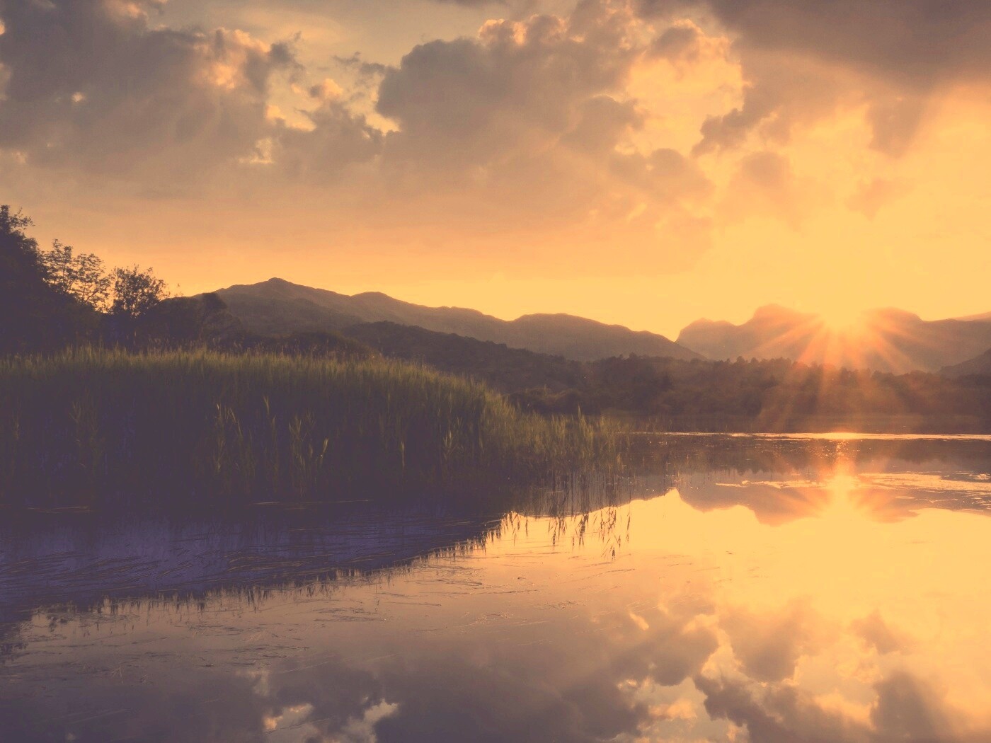 Закат за лесом обои