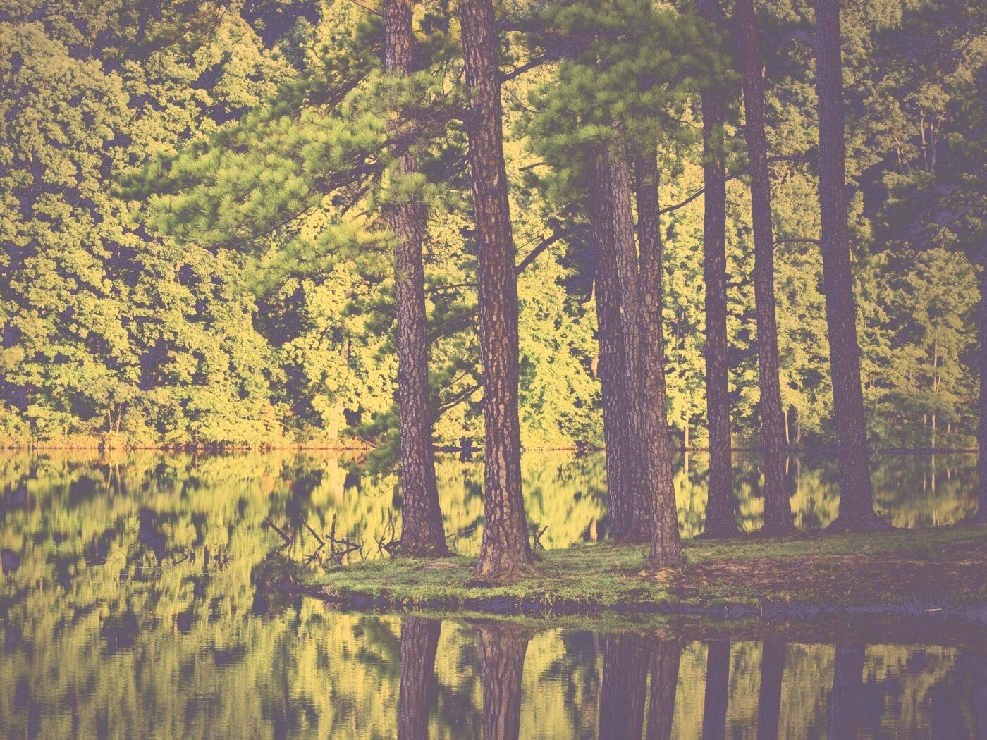 Островок посреди озера обои