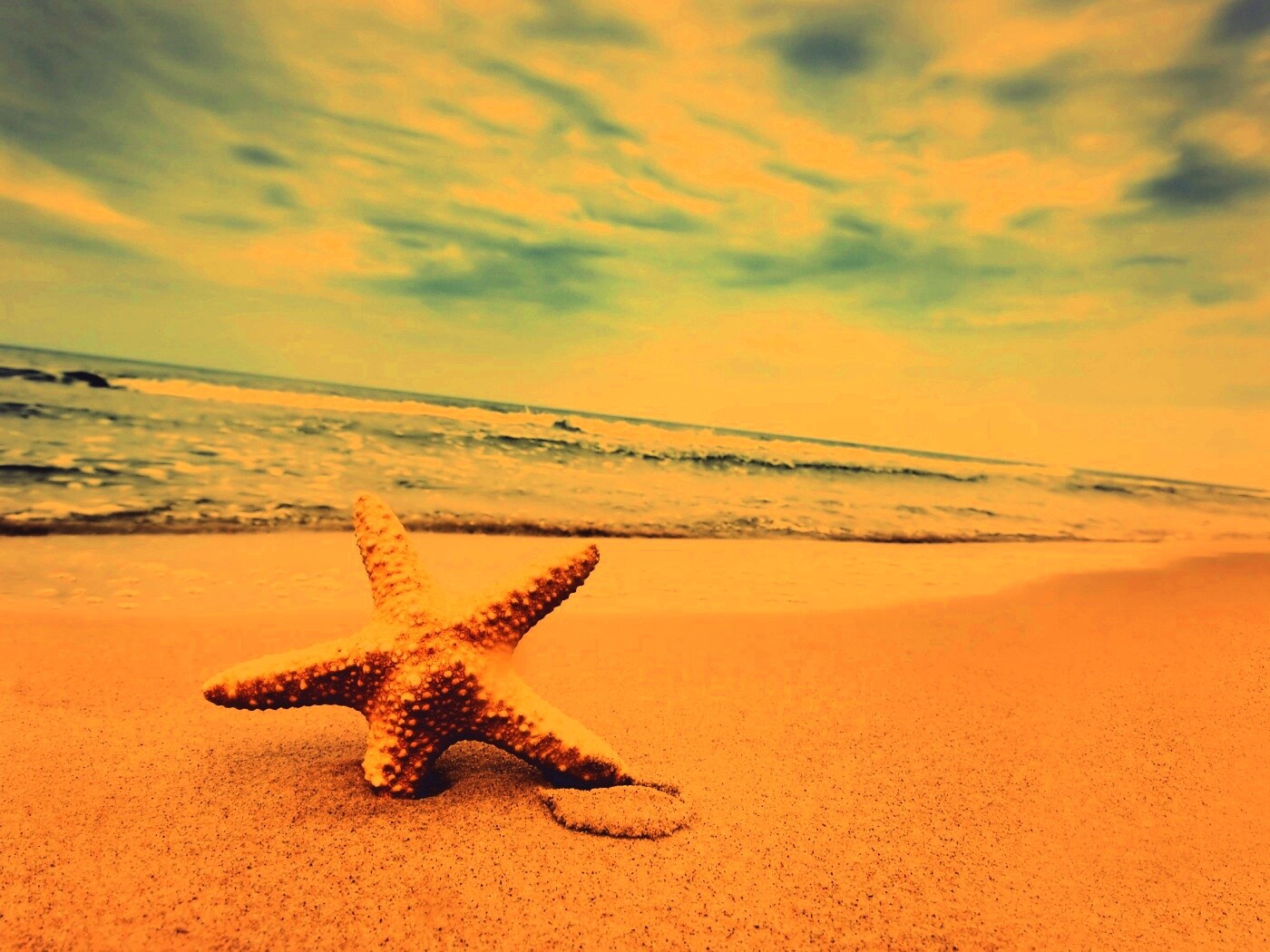 Морская звезда в песке обои