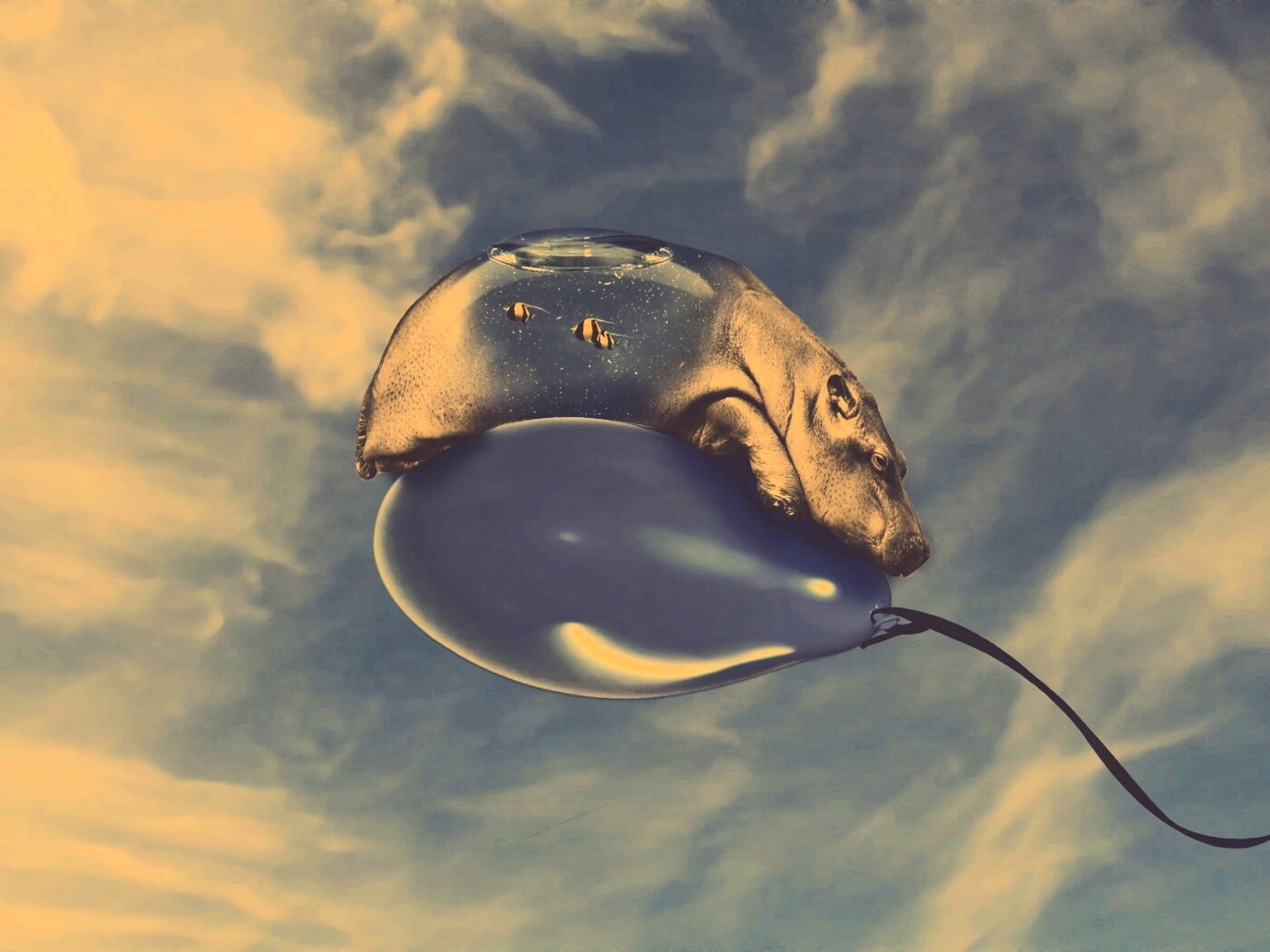 Водяной гиппопотам на шарике обои