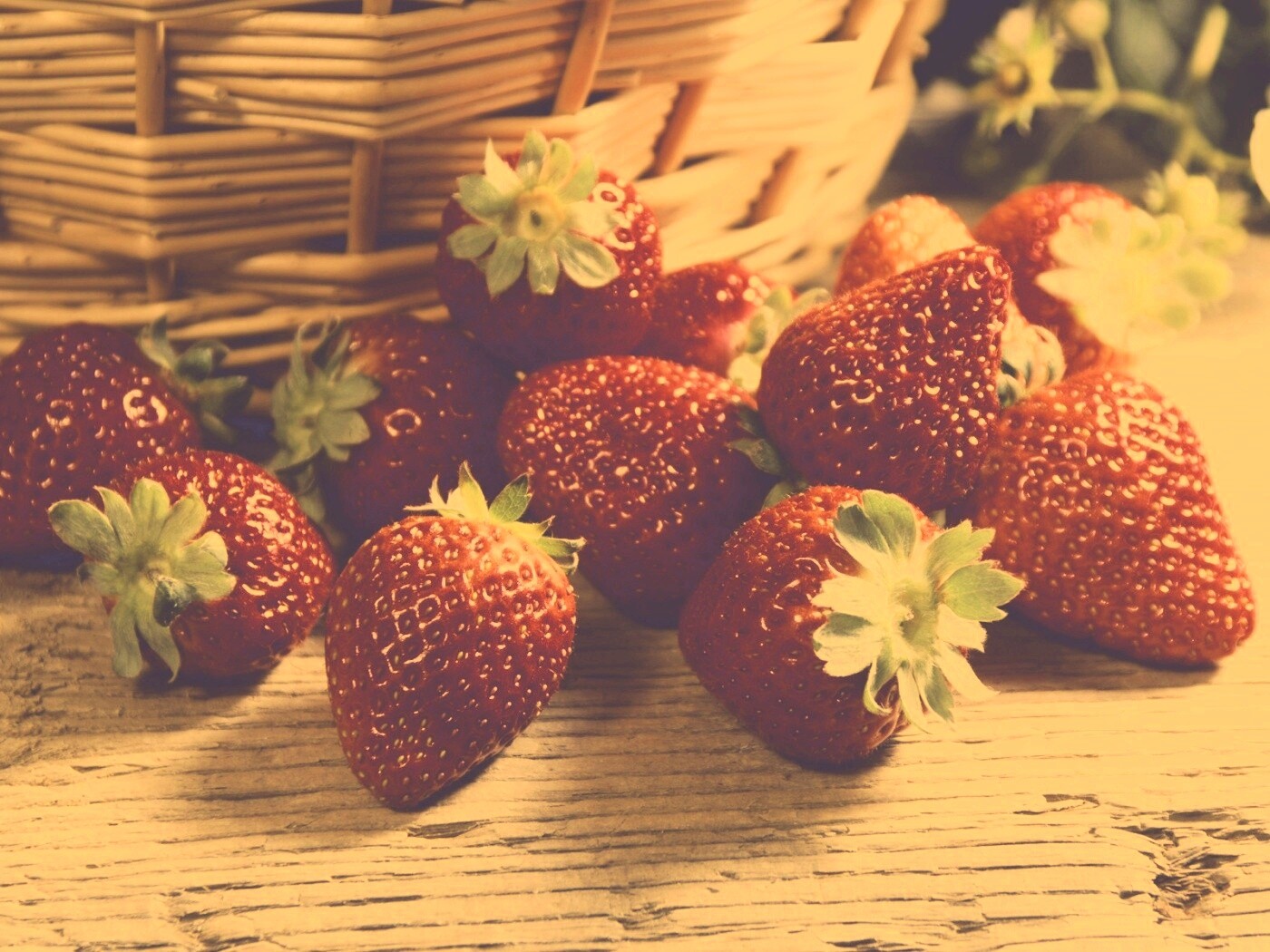 Клубничка обои