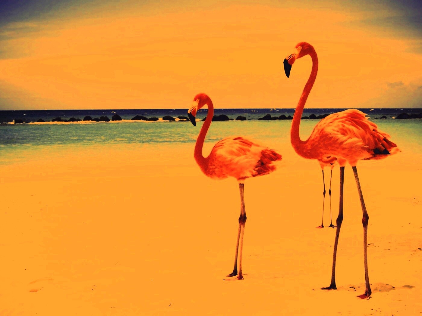 Розовые фламинго на пляже обои