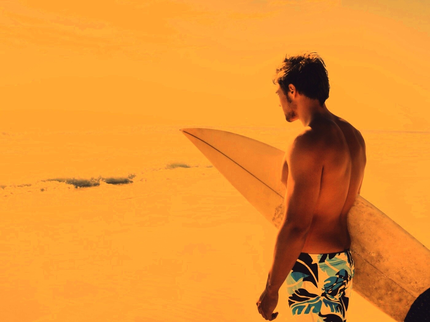 Собирается оседлать волну обои