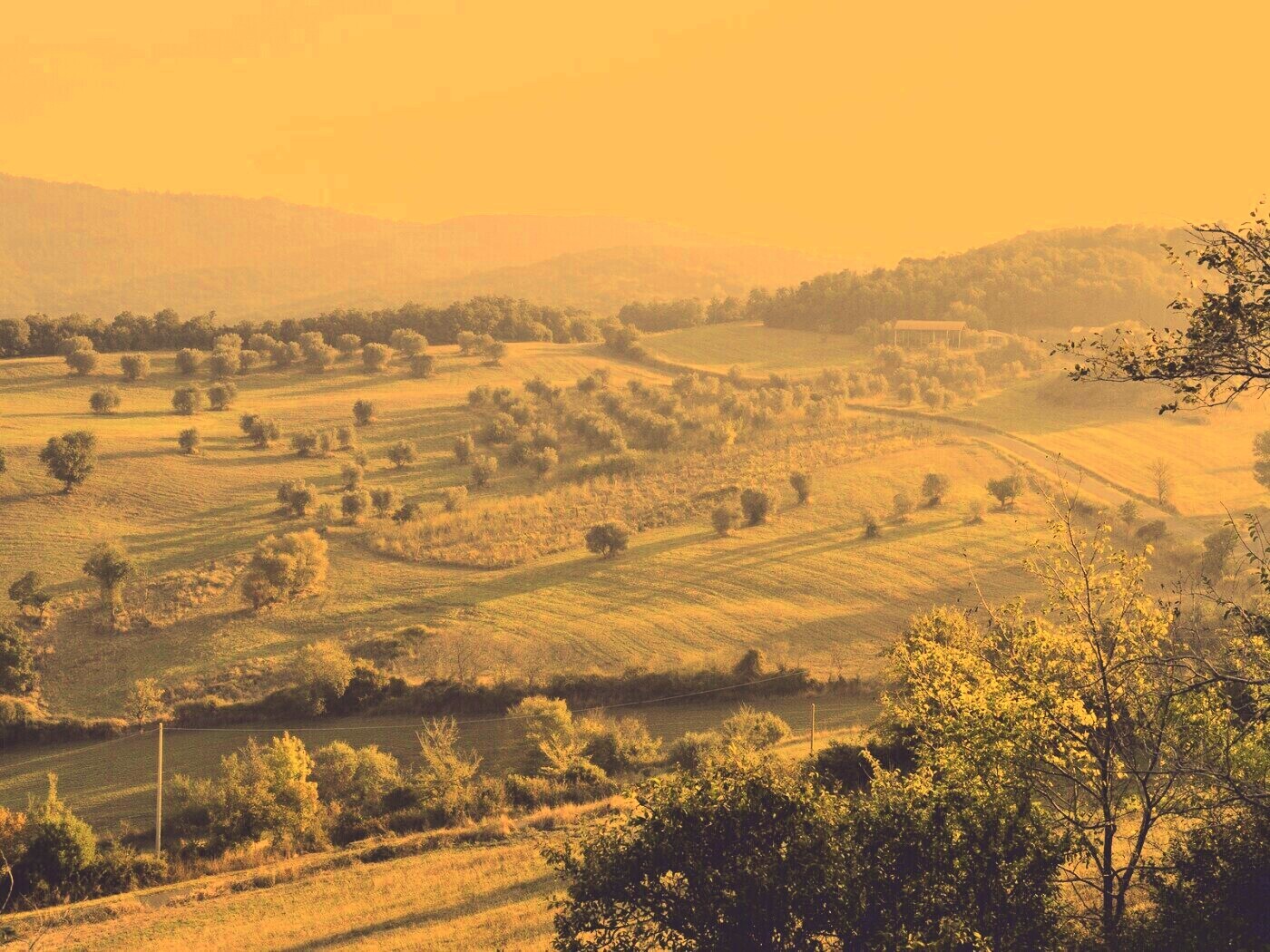 Ферма в долине обои