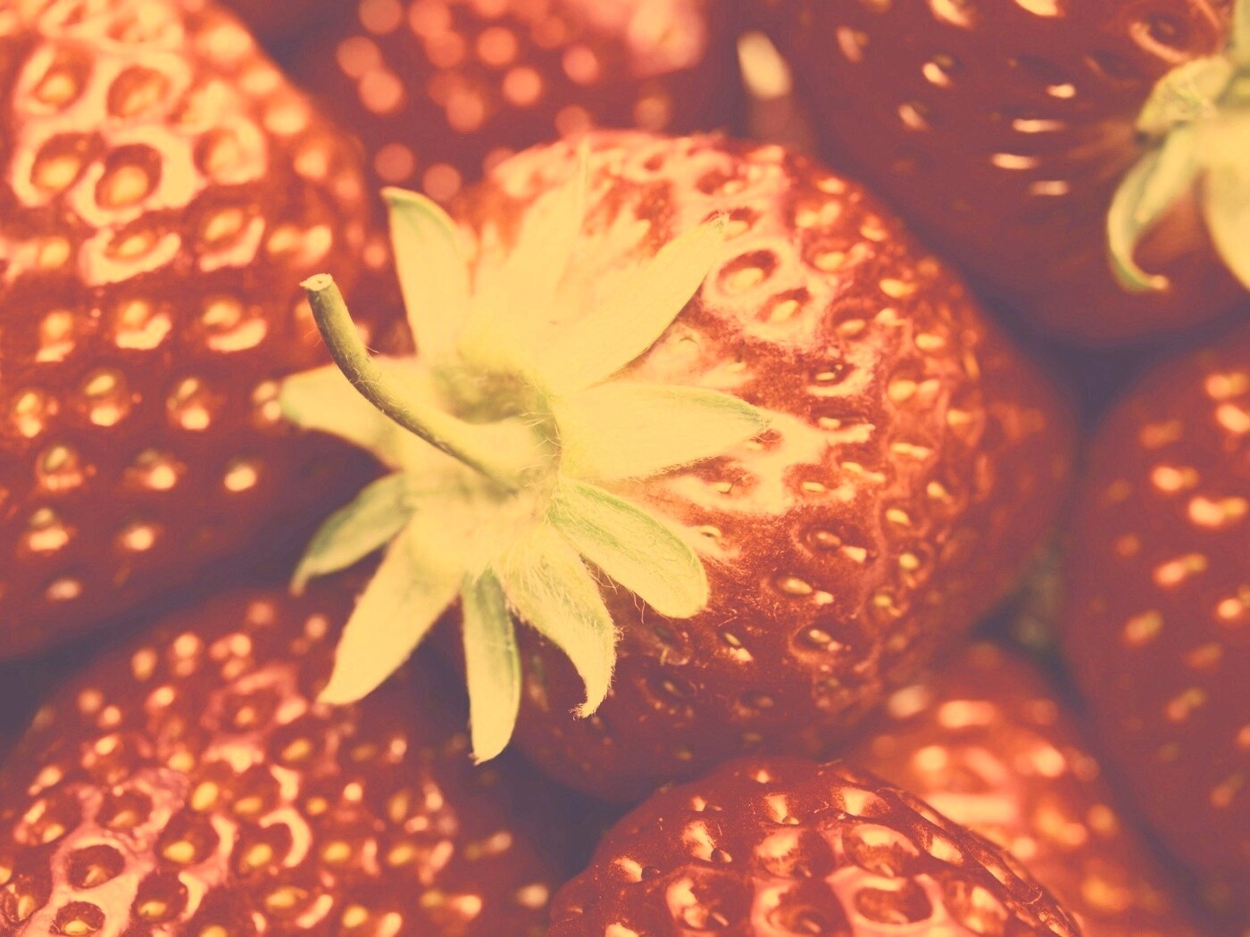 Сочная клубничка обои