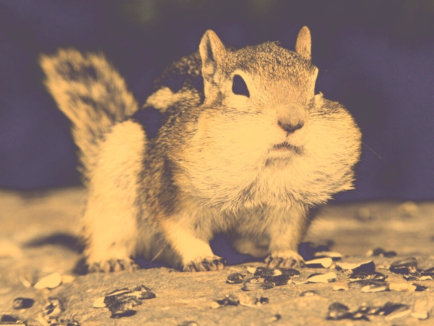 Не жадный, а бережливый обои