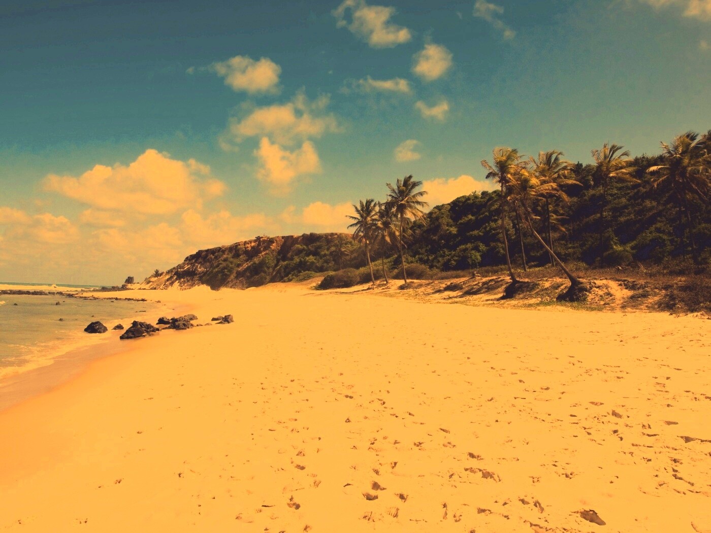 Туры в Бразилию в Лондрину обои