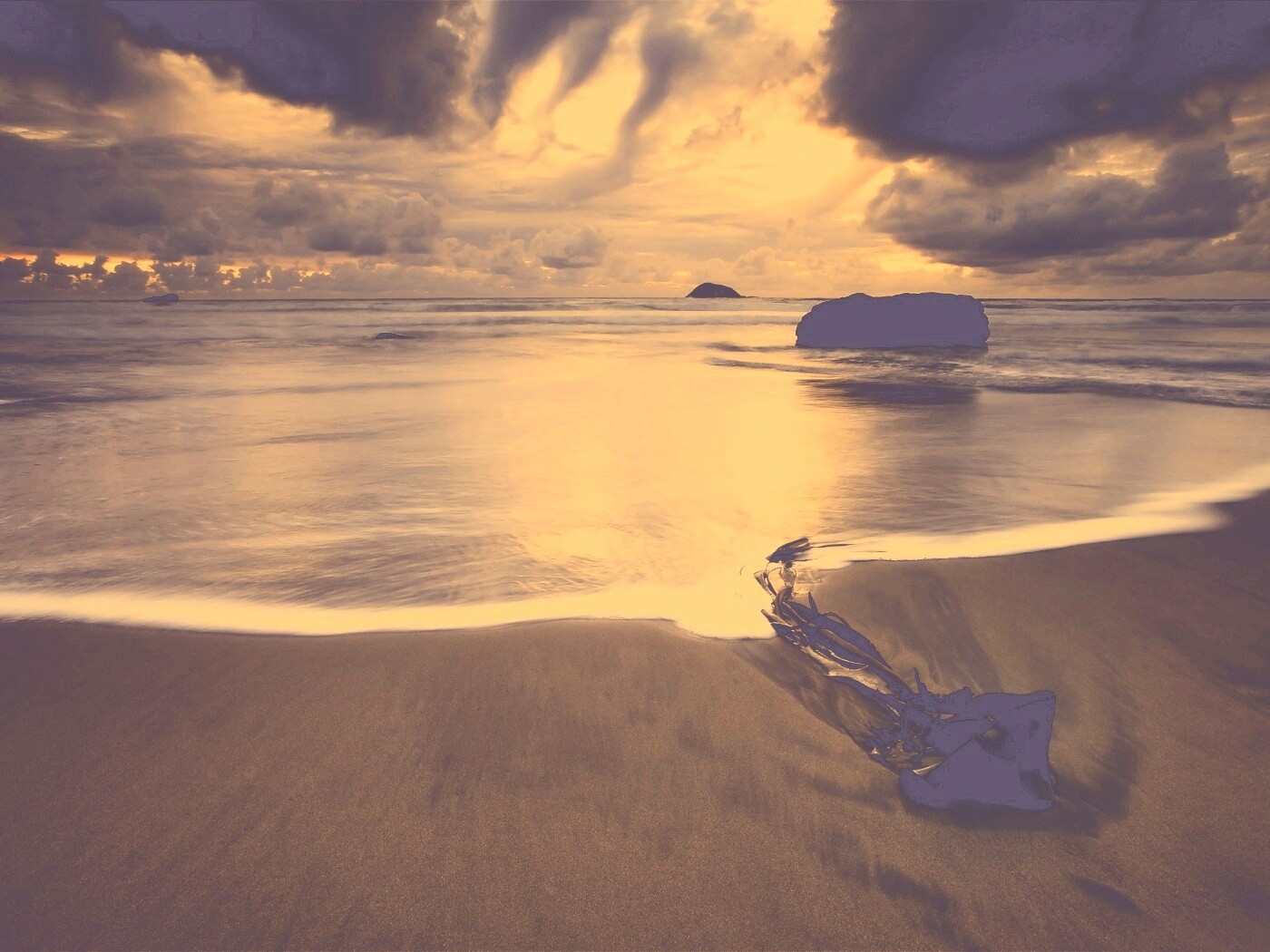 Коряга на пляже обои