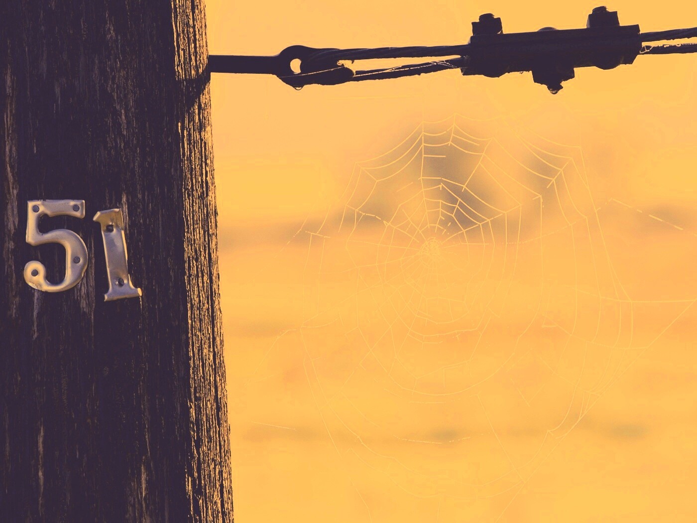 Паутина 51 обои