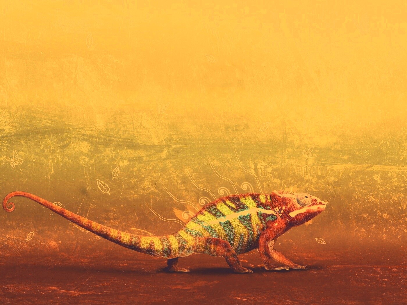 Хамелеон обои