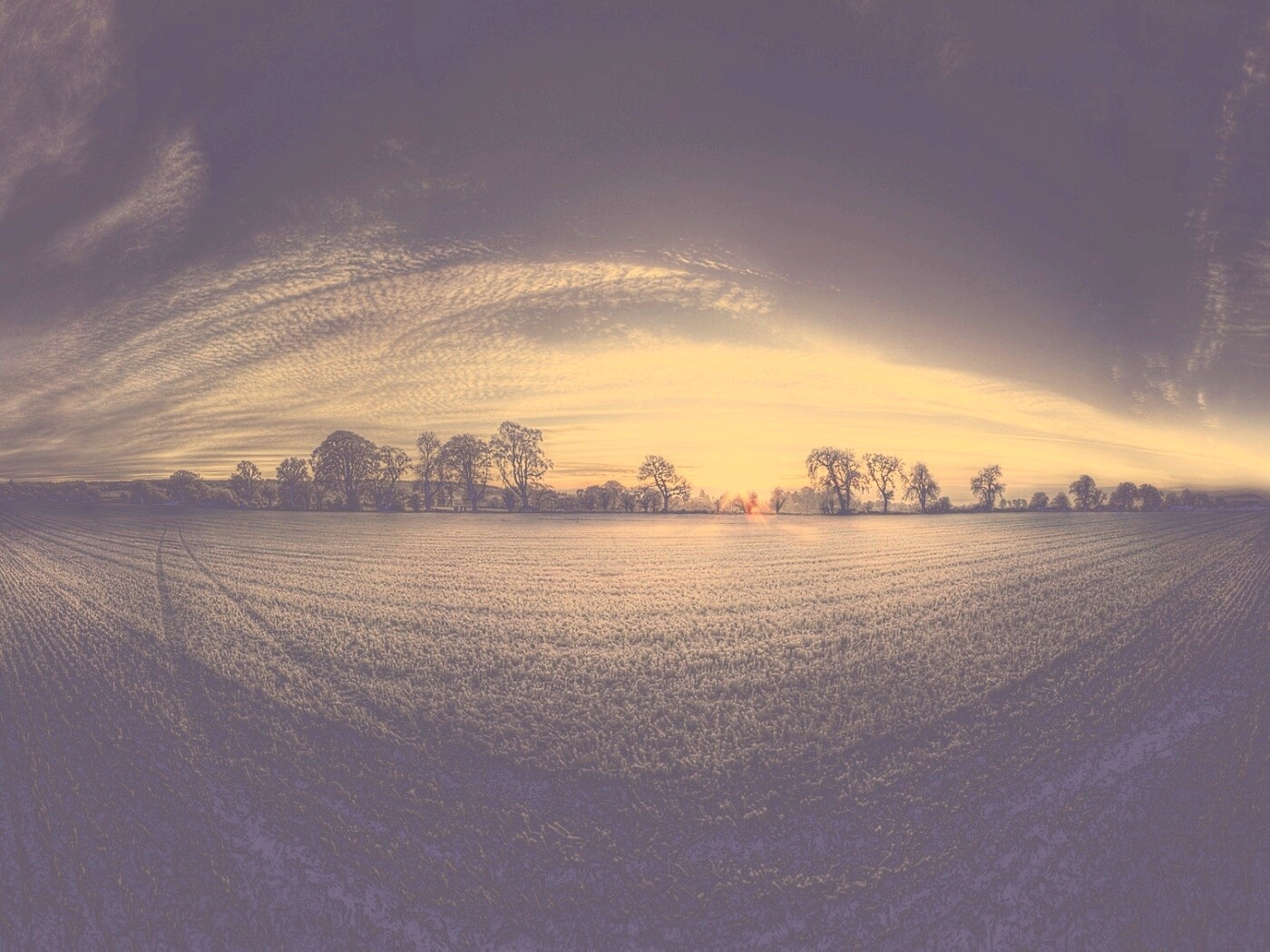 Поле широкоугольным объективом обои