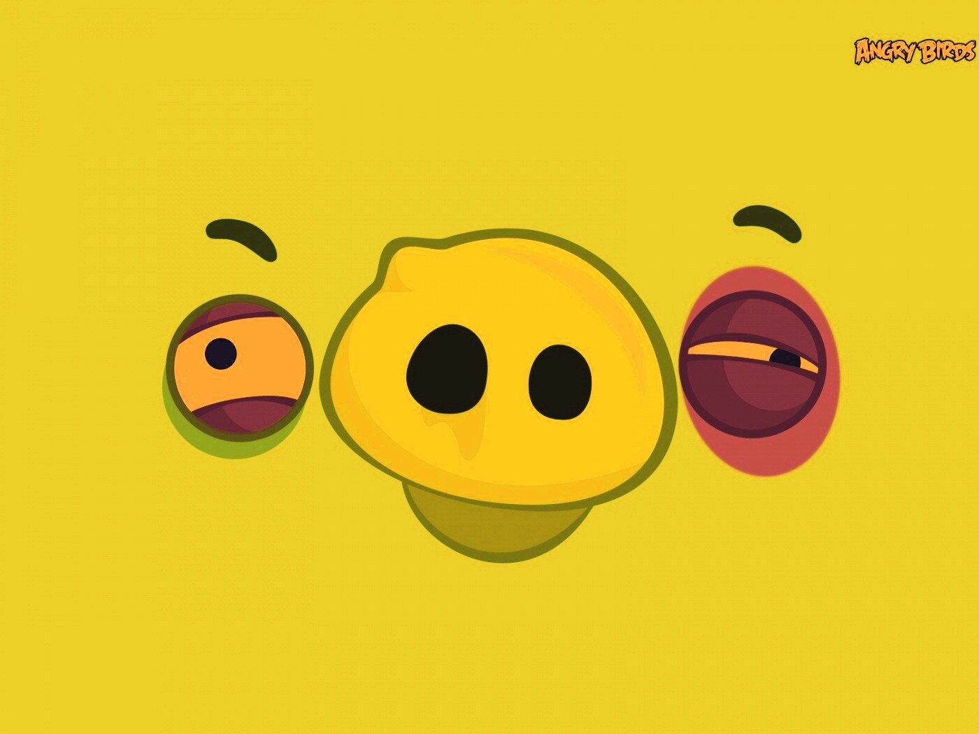 Свинья из Angry Birds обои