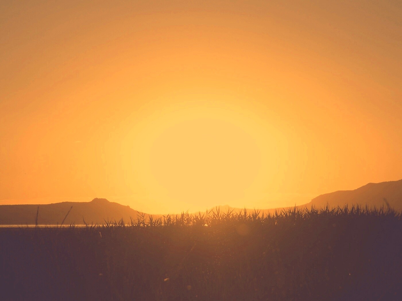 Сельский закат обои