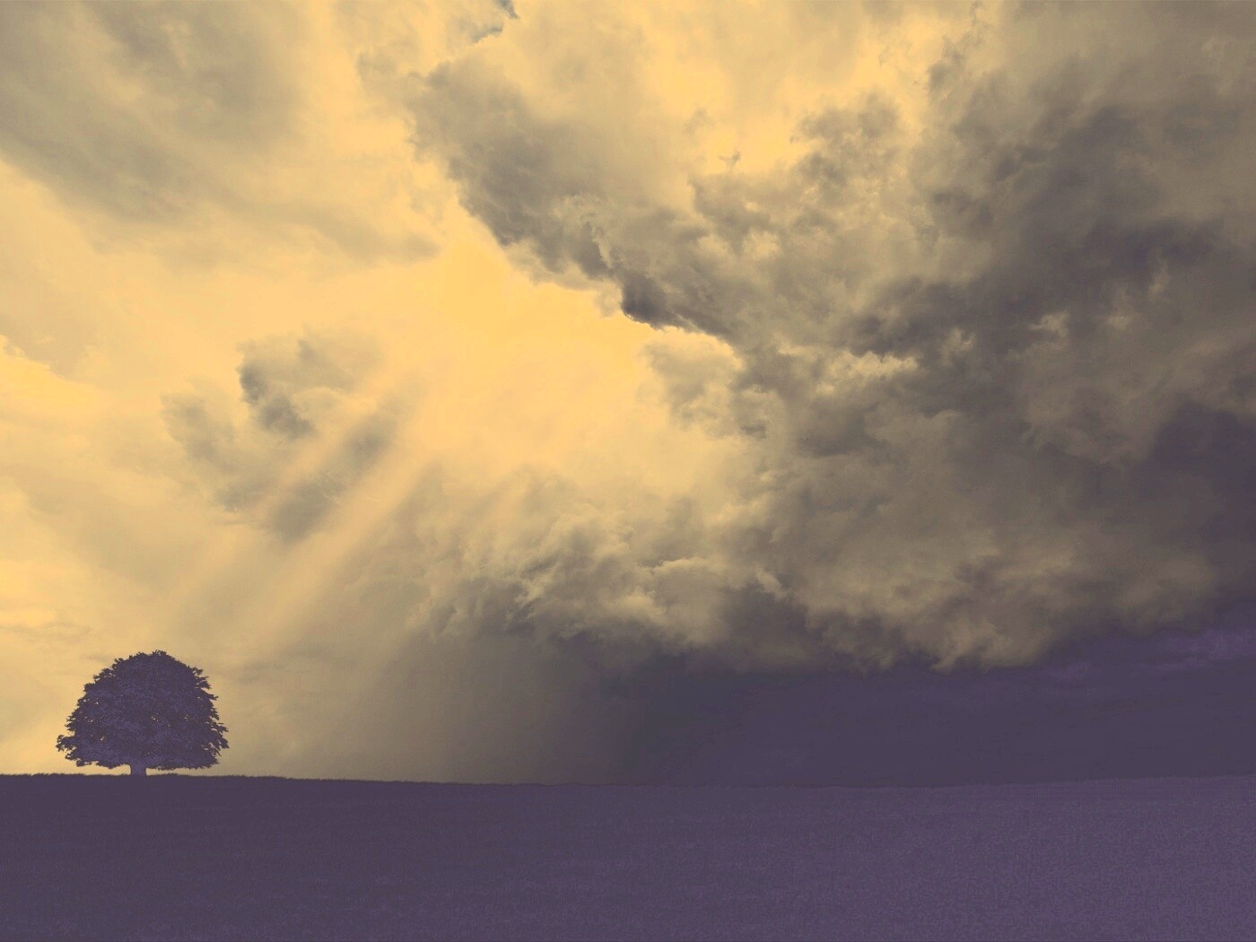 Избранный обои