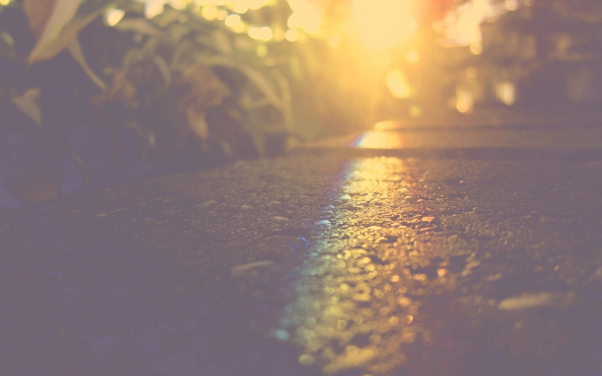 Макро радуга на камне обои