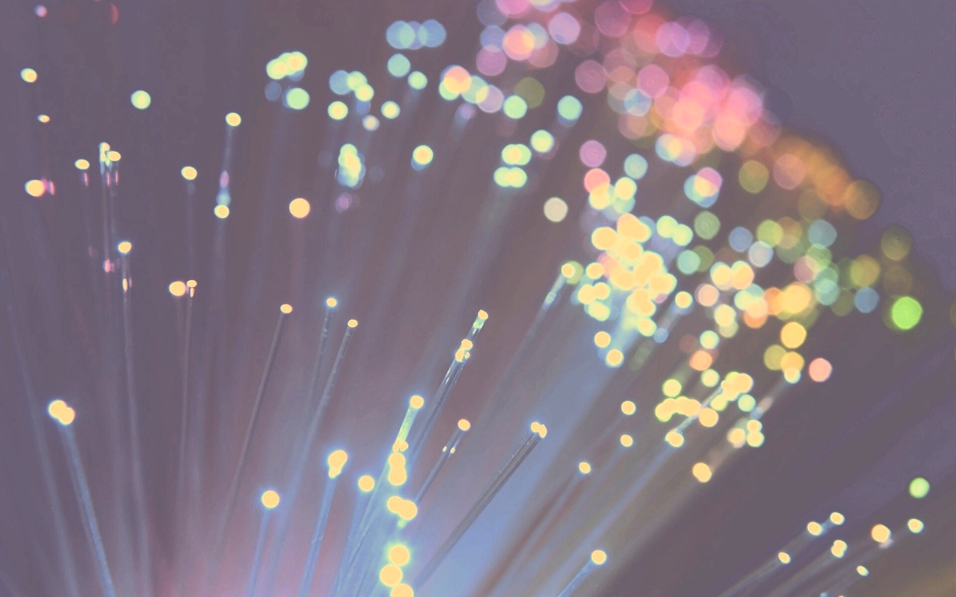 Огоньки на оптоволокне обои