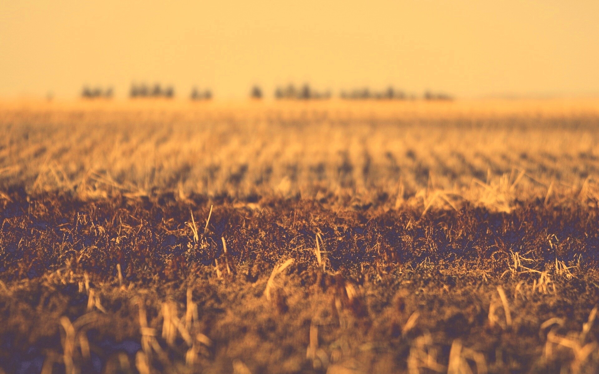 Поле перед вспашкой обои