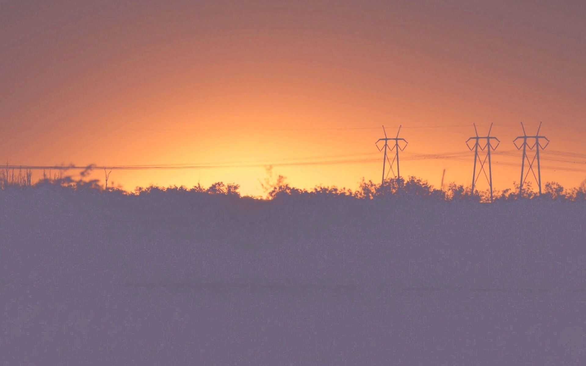 Закат за лесом обои