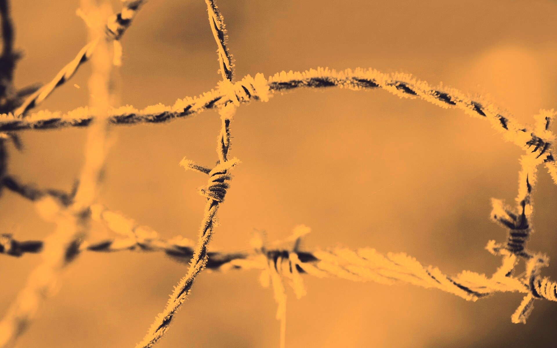 Замерзшая колючая проволока обои