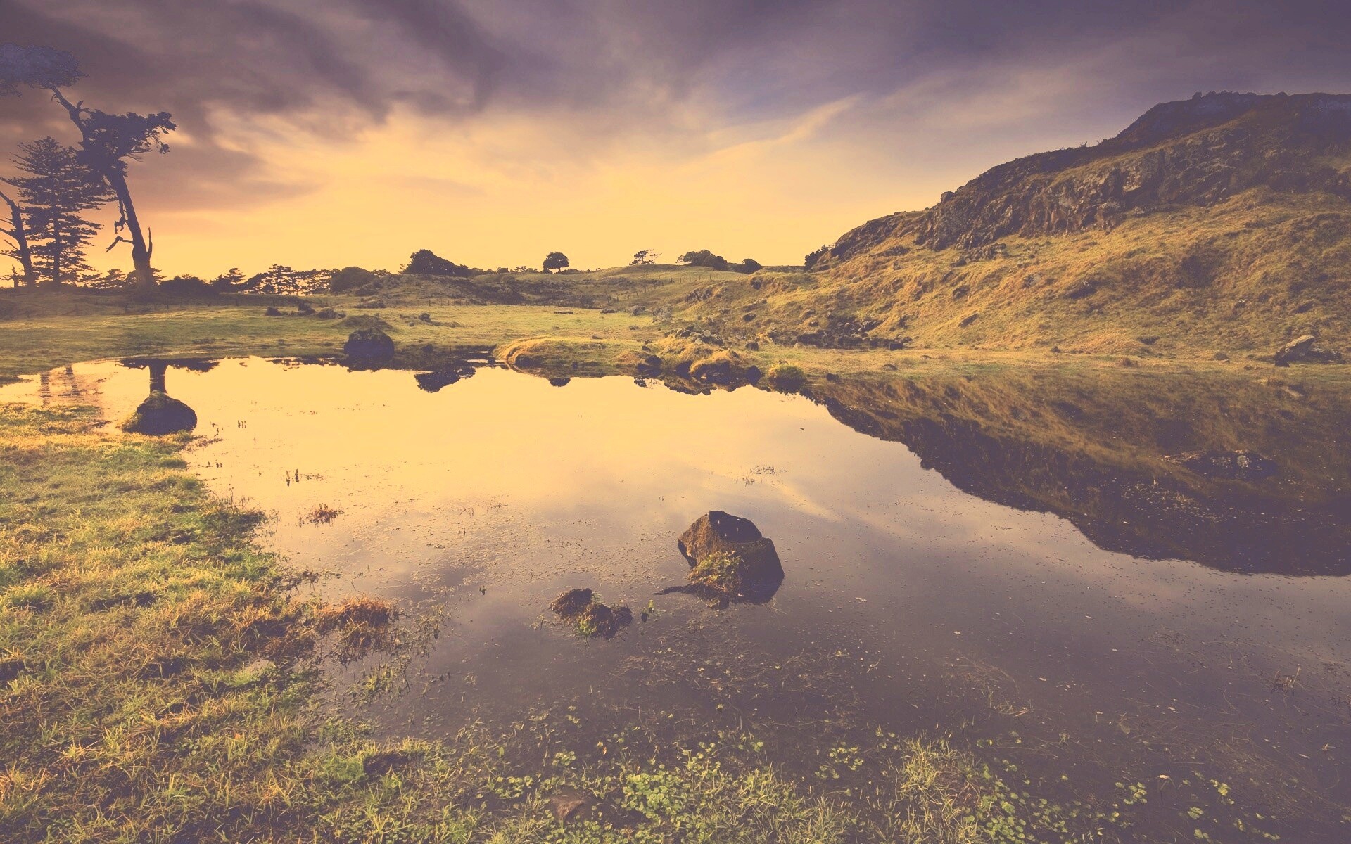 Затопленная долина в Новой Зеландии обои
