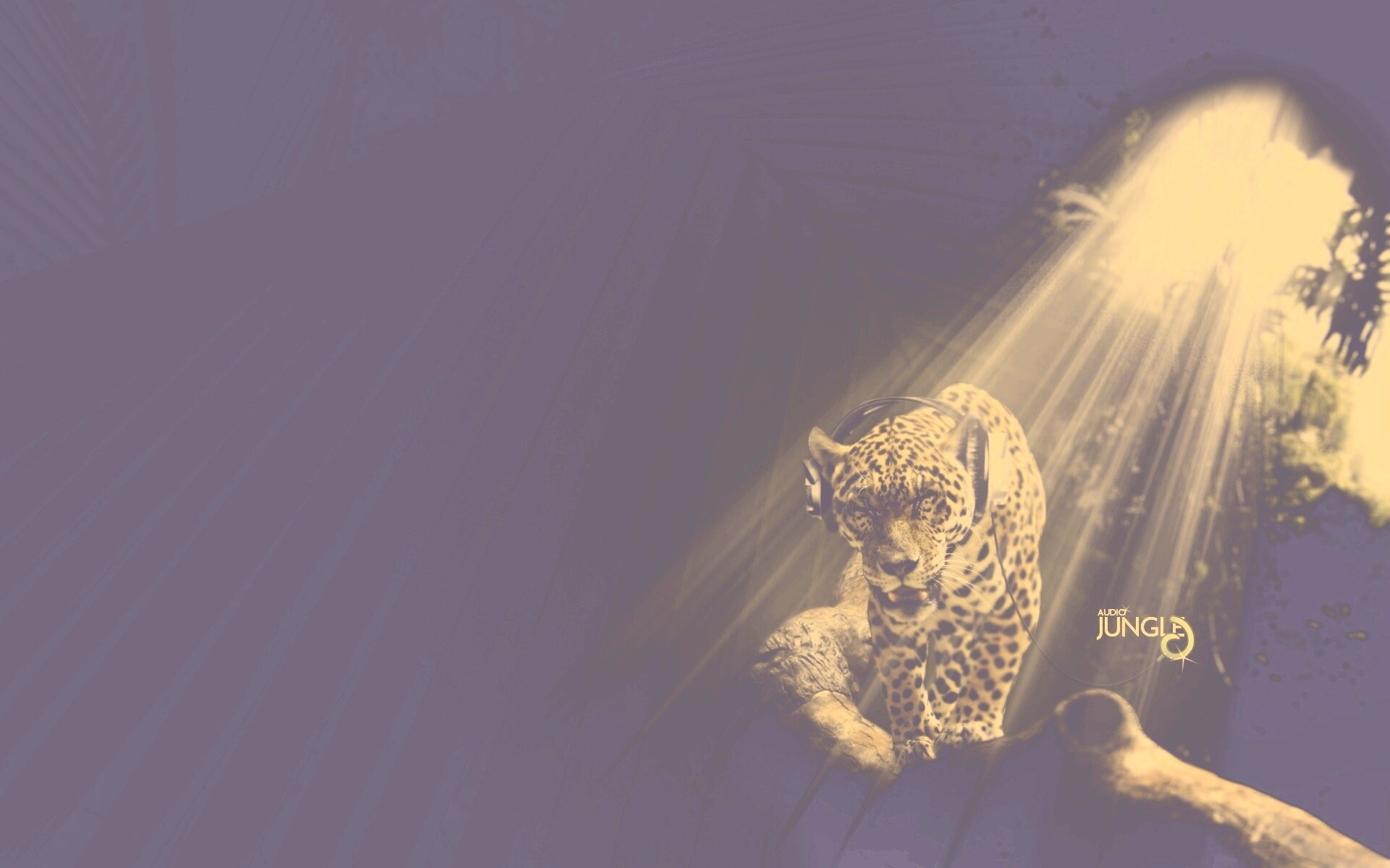 Ягуар в наушниках обои