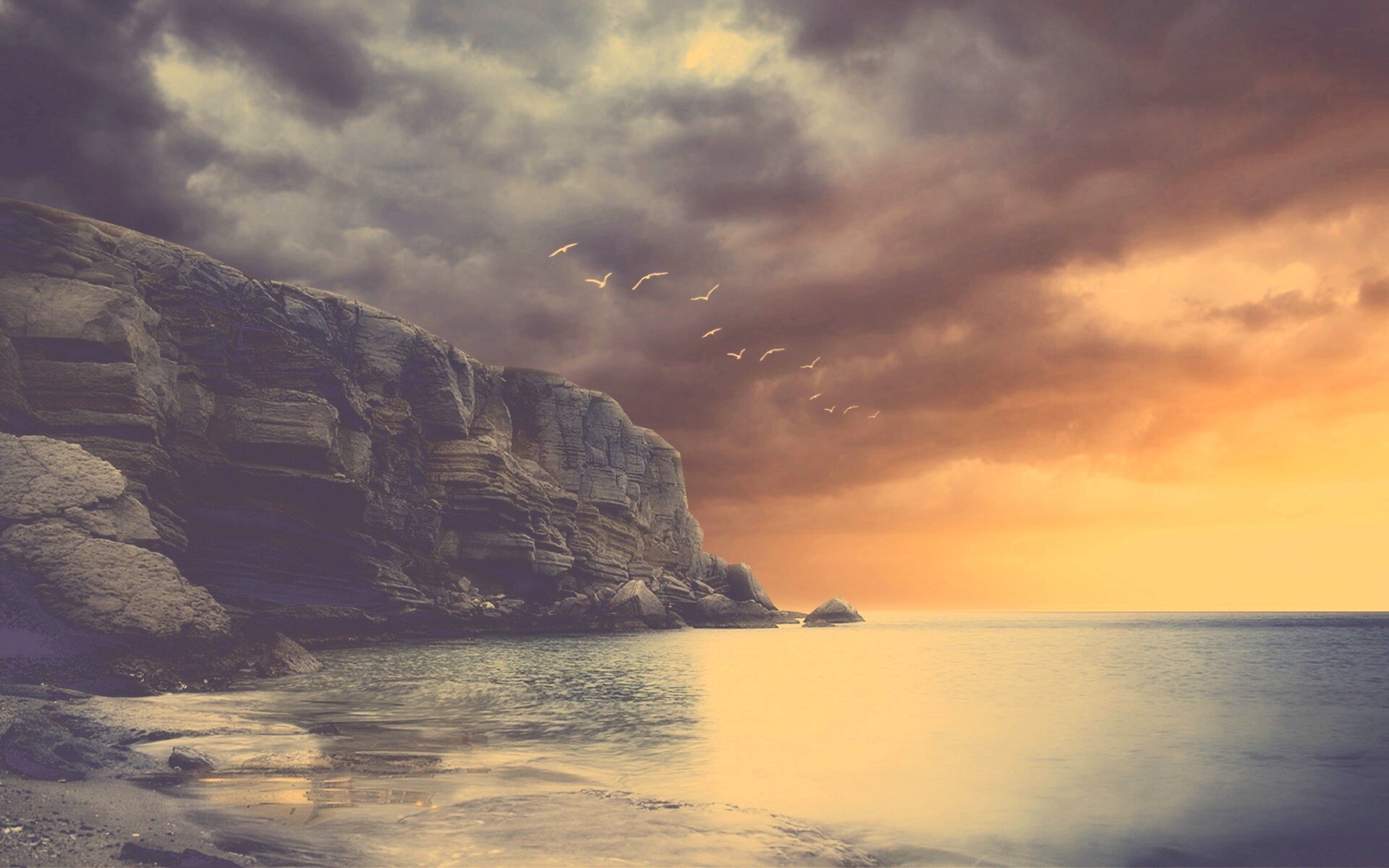 Чайки над скалами обои