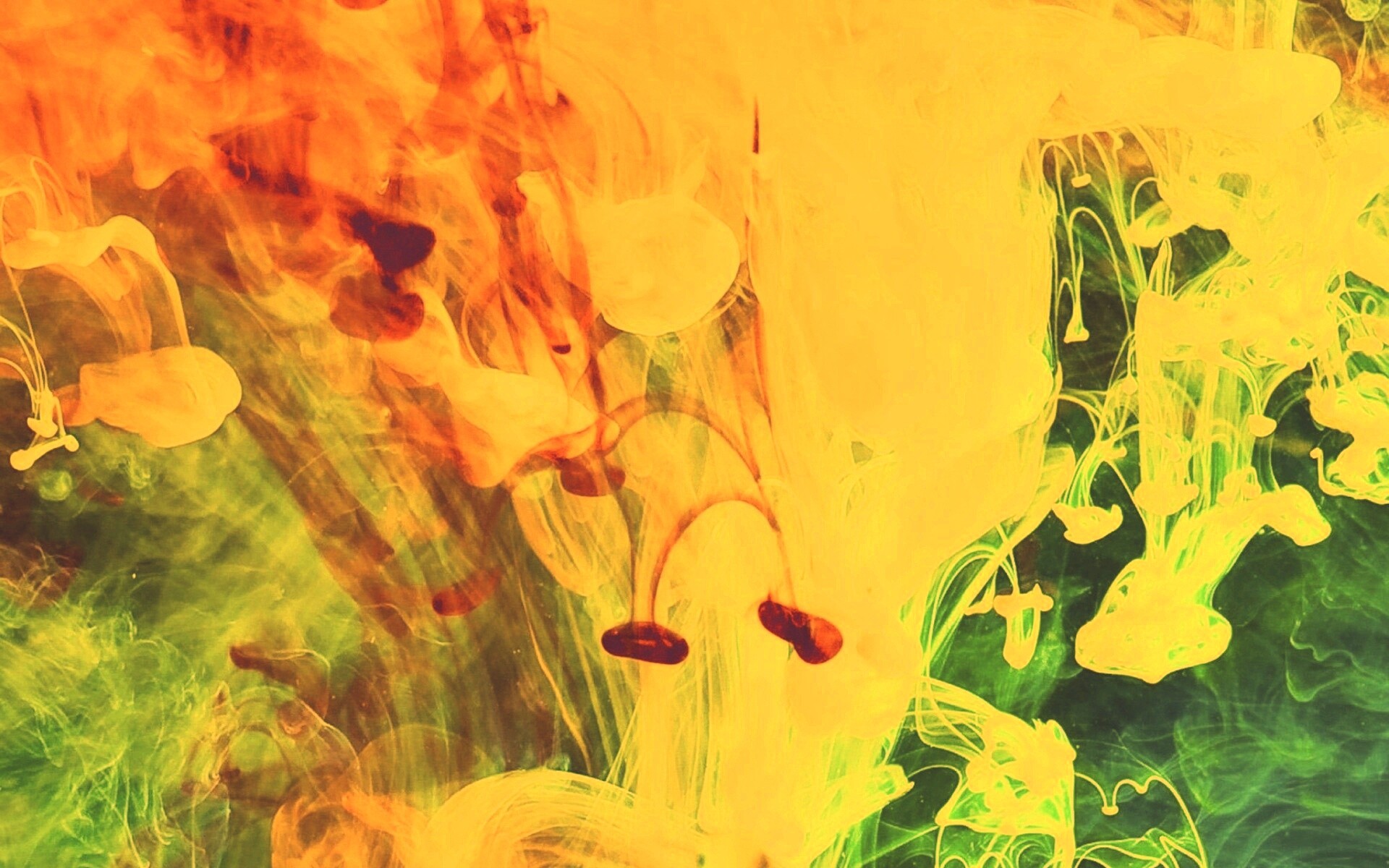 Краска растворяется в воде обои