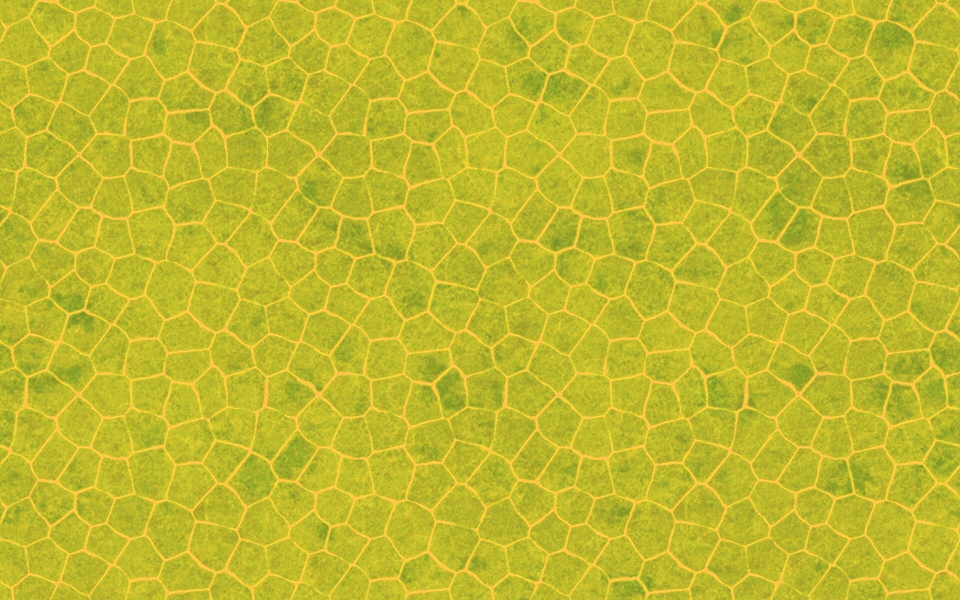 Зелёные сегменты обои