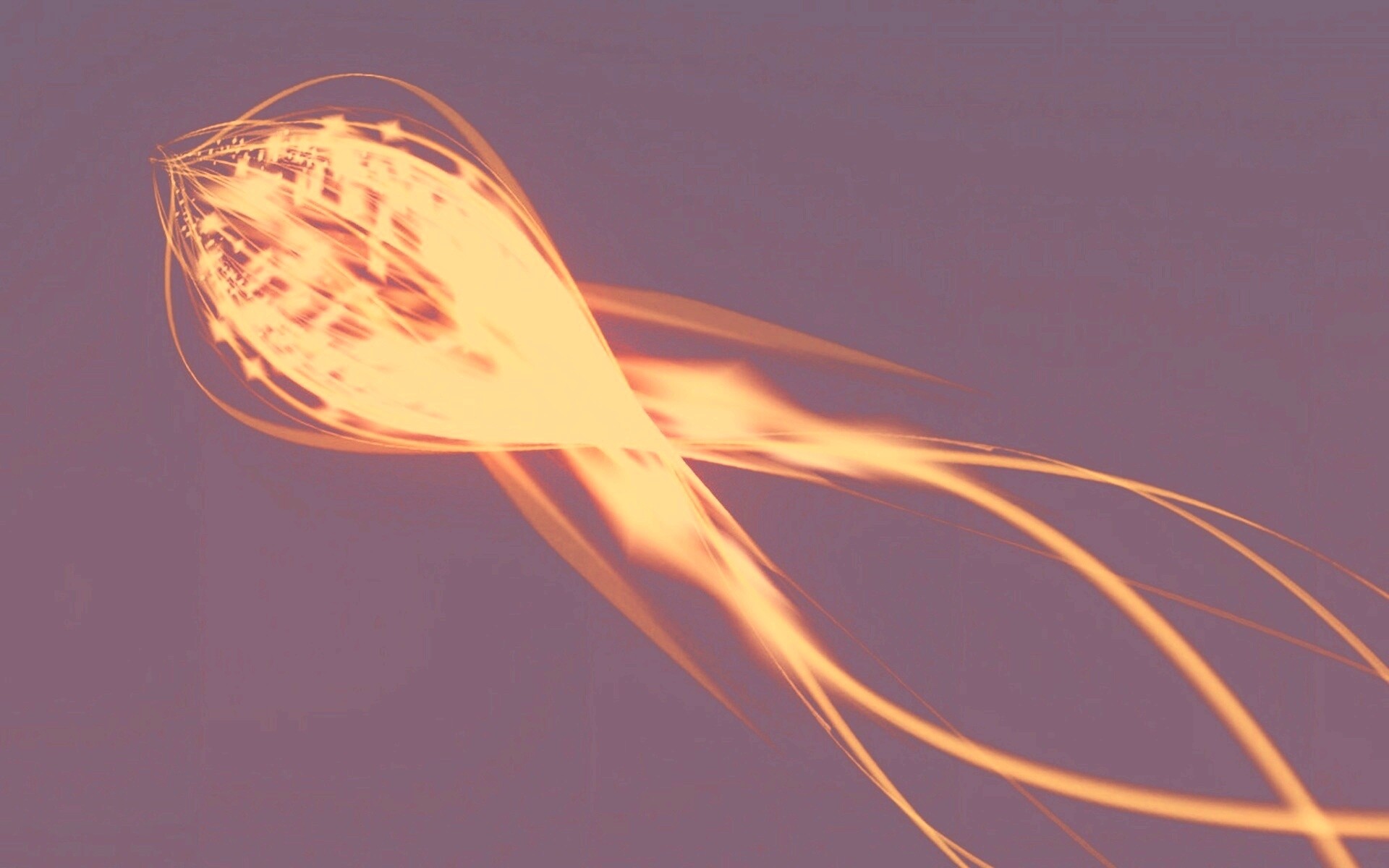 Сгусток красных линий обои