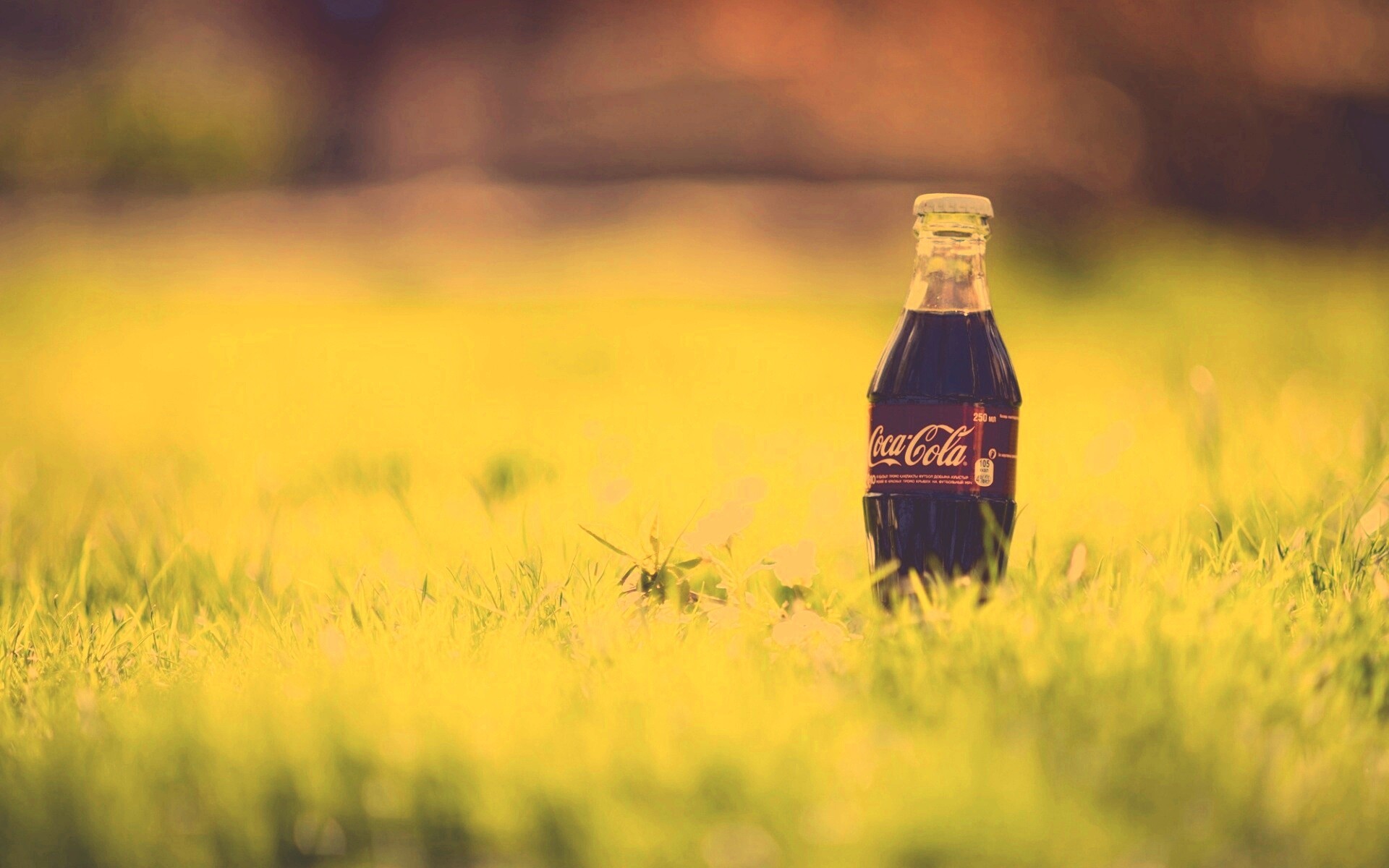 Кока-Кола на траве обои