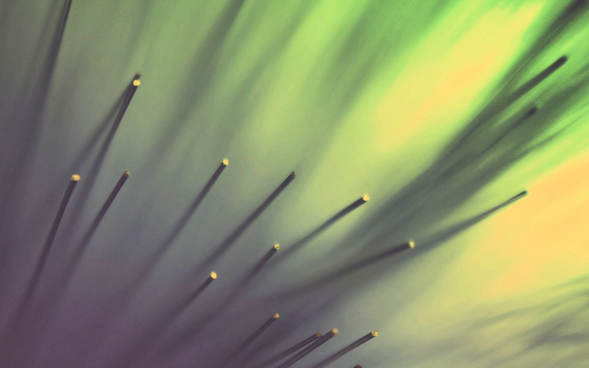 Световоды в рассеяном свете обои