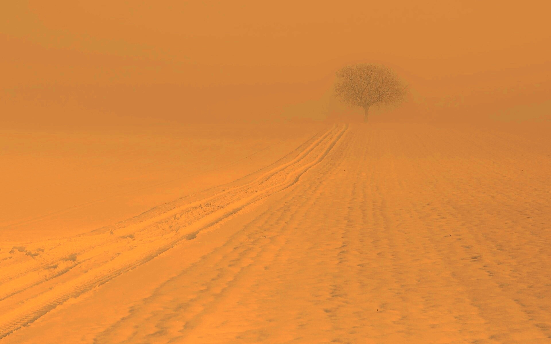 Заснеженное поле обои